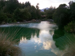 Whitewater Preserve Pond